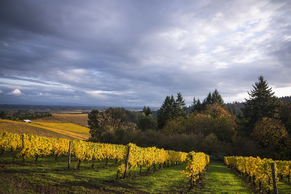 Essential Willamette Valley Itinerary for Wine Lovers • Winetraveler