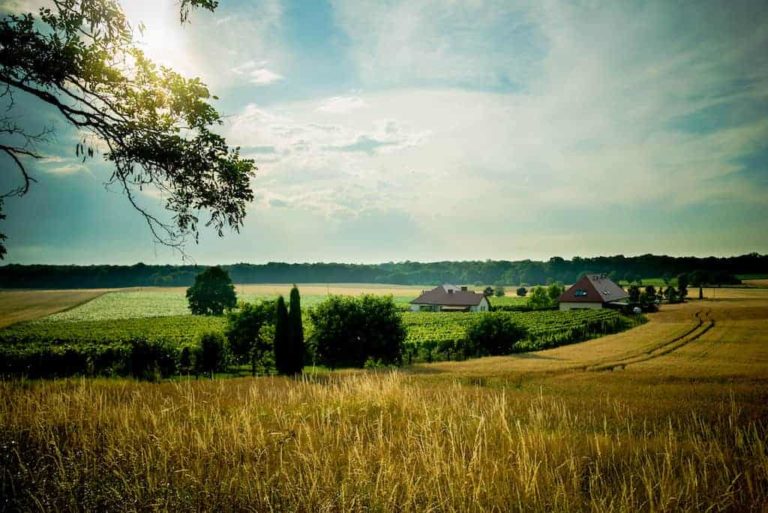 Poland wine guide