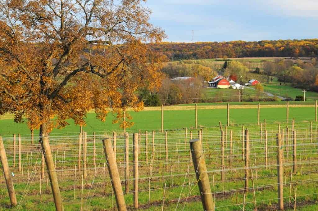 New Jersey wine region
