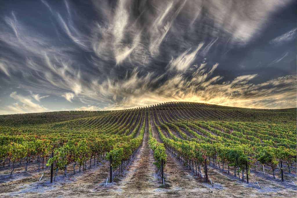Italian Wineries in California Making Italian Wine | Winetraveler.com