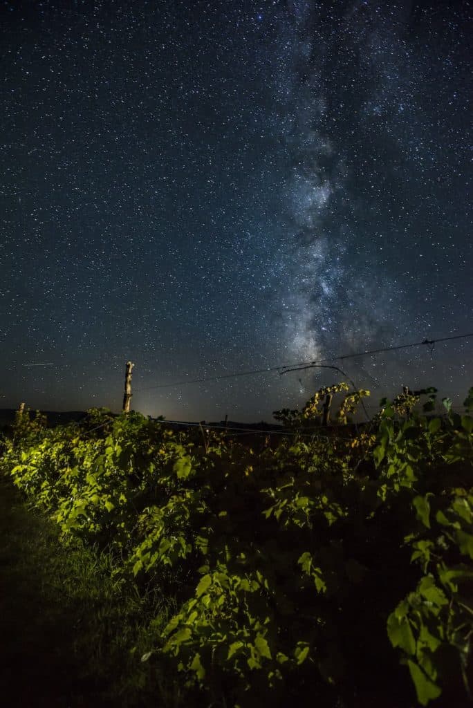 Colorado wine region