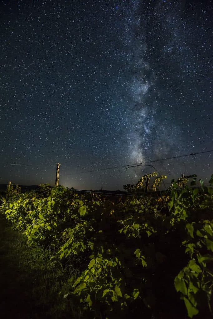 Colorado wine region