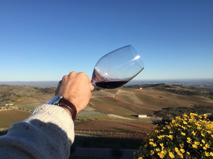 Paso Robles Road Trip Itinerary | Daou Vineyards View | Winetraveler.com