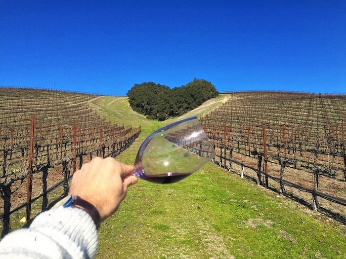 Heart Hill Vineyard at Niner Wine Estates | Heart Vineyard in Paso Robles | Winetraveler.com