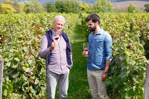What Should Men Wear To a Wine Tasting? | Winetraveler.com