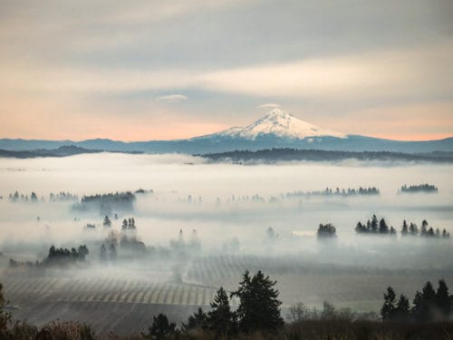 Beautiful Wine Regions in the US with Amazing Scenery | Winetraveler.com
