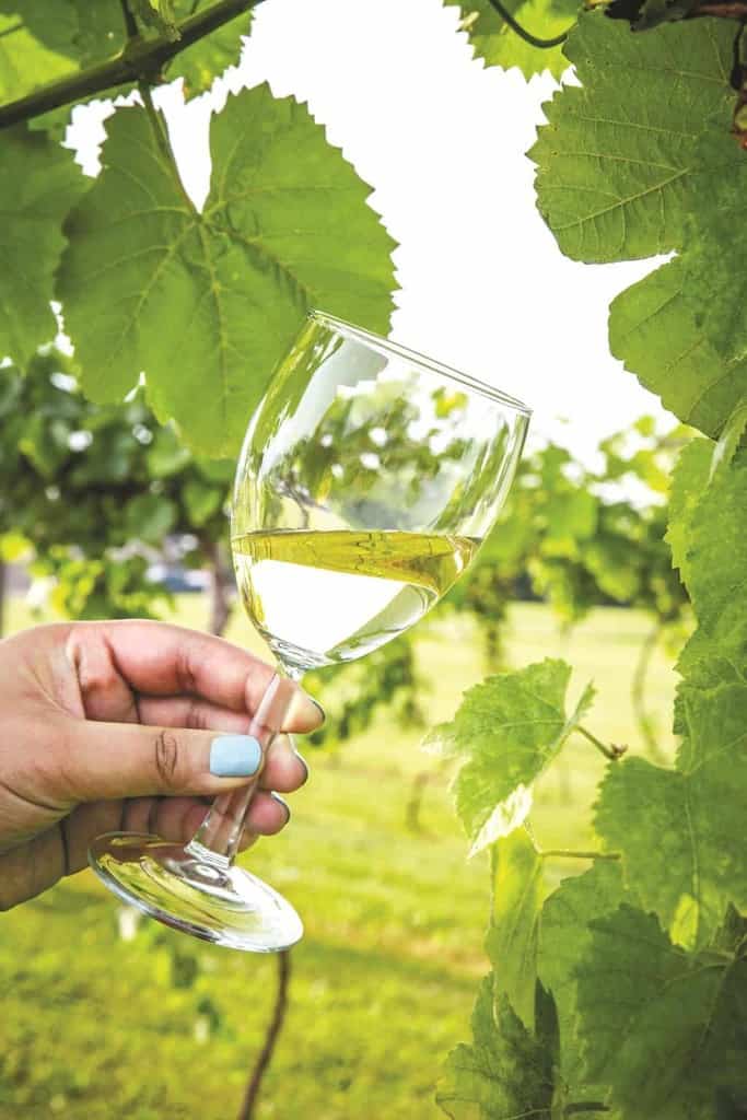 Wine Tasting Ohio | The Best Ohio Wineries to Visit | Winetraveler.com