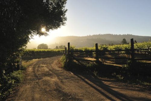 Best Up and Coming Wine Regions All Over the World | Winetraveler.com