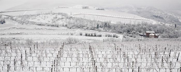 The Valpolicella Wine Region During Winter | Winetraveler.com