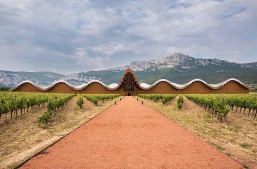 Best Wine Tours and Wineries to Visit in Spain | Winetraveler.com