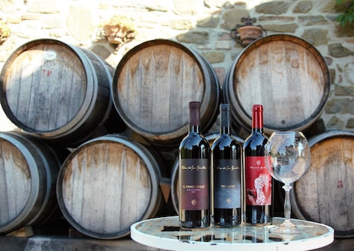Tips For Becoming a Winemaker | Winetraveler.com