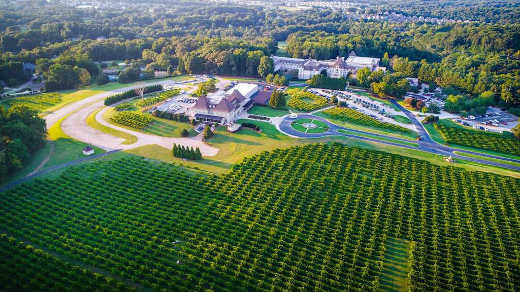 Chateau Elan Winery & Resort • Wine Tastings, Tours, Reviews & Hotel