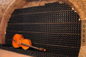 D’Arapri SRL Winery