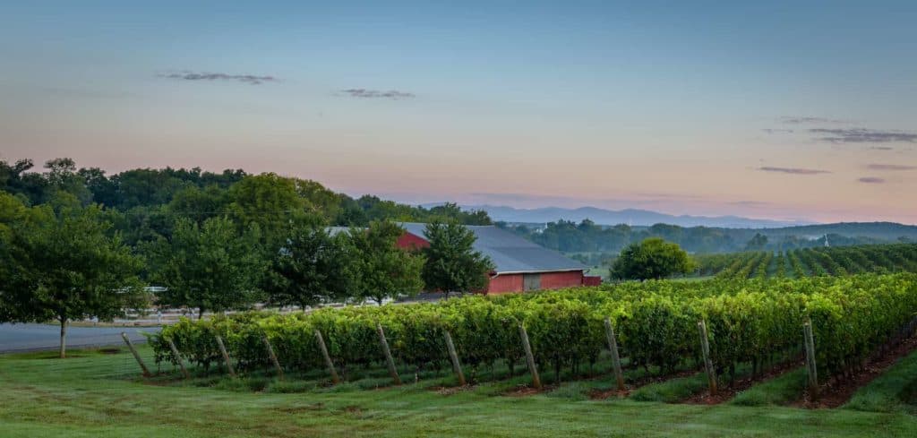 Plan a Trip to Virginia Wine Country - Wineries, Activities, History, Terroir, Grape Variety Information | Winetraveler.com