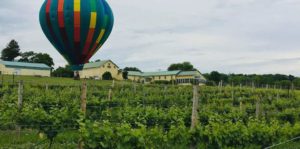 Standing Stone Vineyards