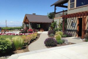 Dineen Vineyards