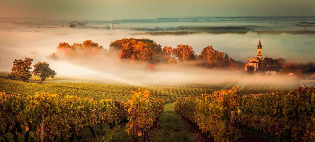 The Most Famous Bordeaux Wines and First Growth Chateau on the Left Bank | Winetraveler.com