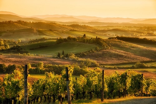Italy in October Where To Go - Tuscany / Siena | Winetraveler.com
