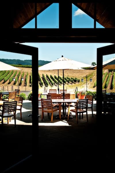 The view from the Adelsheim Patio in Newberg, OR. | Winetraveler.com