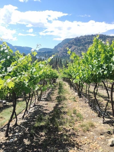 How to Explore British Columbia's Wine Country | Winetraveler.com