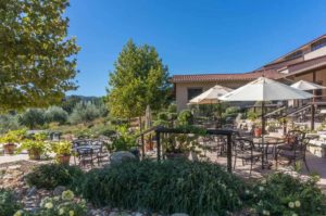 Tablas Creek Vineyard
