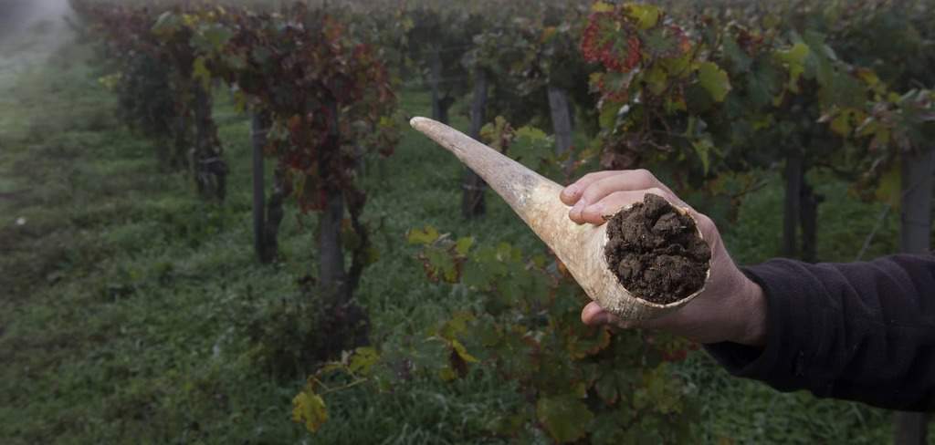 Biodynamic Wine Definition and Farming Practices - What is Biodynamic Wine Today? | Winetraveler.com