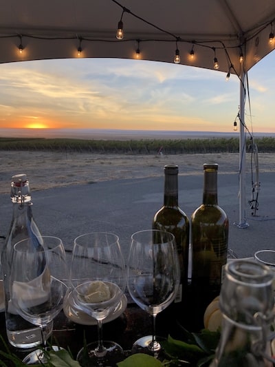 Sunset in Washington State at Columbia Crest Winery during Harvest | Winetraveler.com