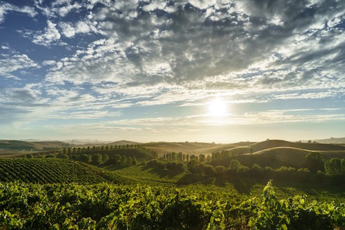 The Perfect Sonoma Scenic Drive - Bohemian Highway Route through the Russian River Valley | Winetraveler.com