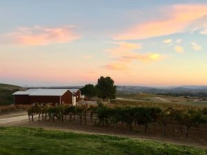 Ecluse Wines