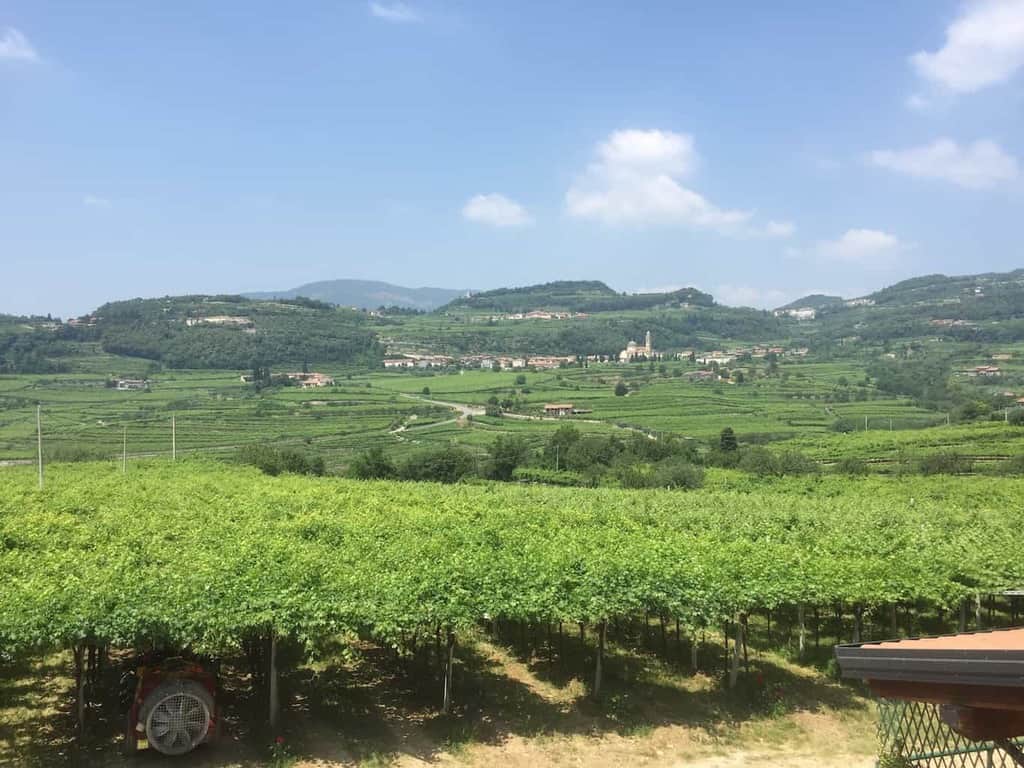 Le Bignele Winery & Vineyard in Valpolicella, Veneto, Italy | Winetraveler.com