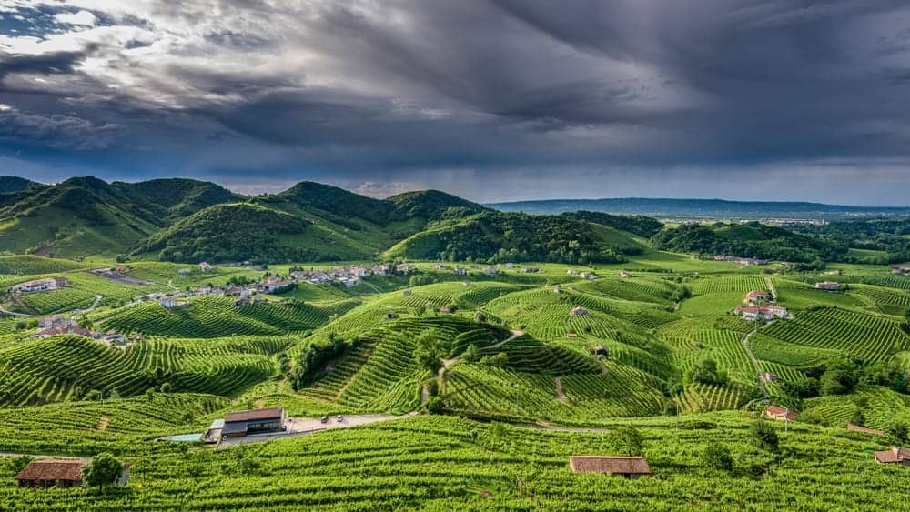 Tenuta San Gallo • Wine Tastings, Tours, Reviews & Events •