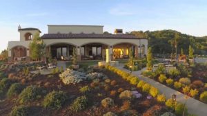 Daou Vineyards & Winery