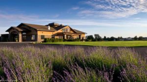 Northstar Winery