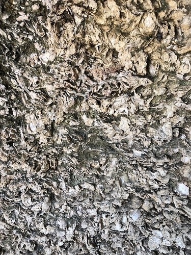 Sweet Bordeaux Appellations (AOCs) Terroir | Winetraveler.com