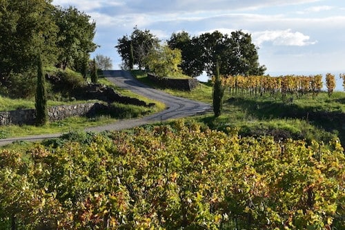 Visiting Sicily Wine Country | Winetraveler.com