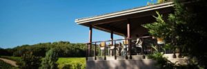 Jada Vineyard & Winery