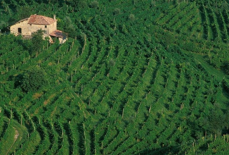 Veneto wine region