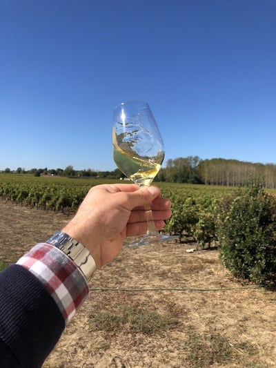 How To Do a Wine Tasting in the Vineyard | Winetraveler.com