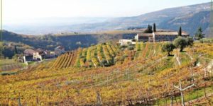 Tenuta Santa Maria Valverde