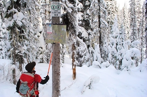 Where to Ski in British Columbia Canada