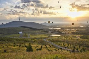 Canberra: Discover Great Wine & Hunt Truffles in Australia