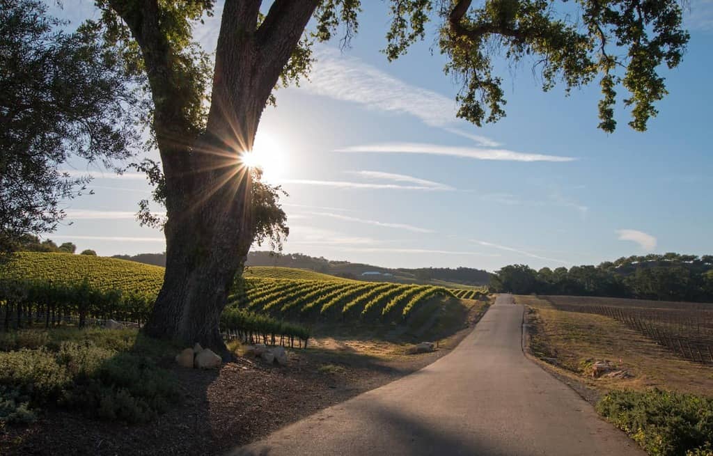 Two Farm-To-Table Restaurants in Paso Robles Serving Local Wine