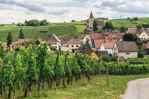 Chardonnay Wine in Burgundy - Old World Chardonnay History | Winetraveler.com