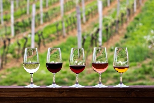 What Does Oak, Acid, Body and Fruit Mean in a Wine? | Winetraveler.com