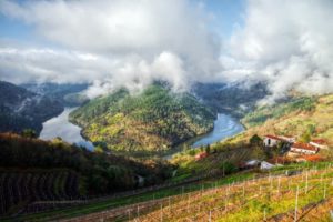 List of Recommended Wines to Try Each Month (And Why)