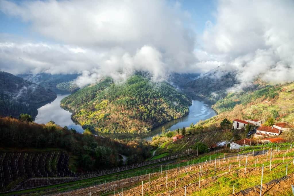 New Wine Recommendations for 2019 - Albarino Galicia Spain | Winetraveler.com