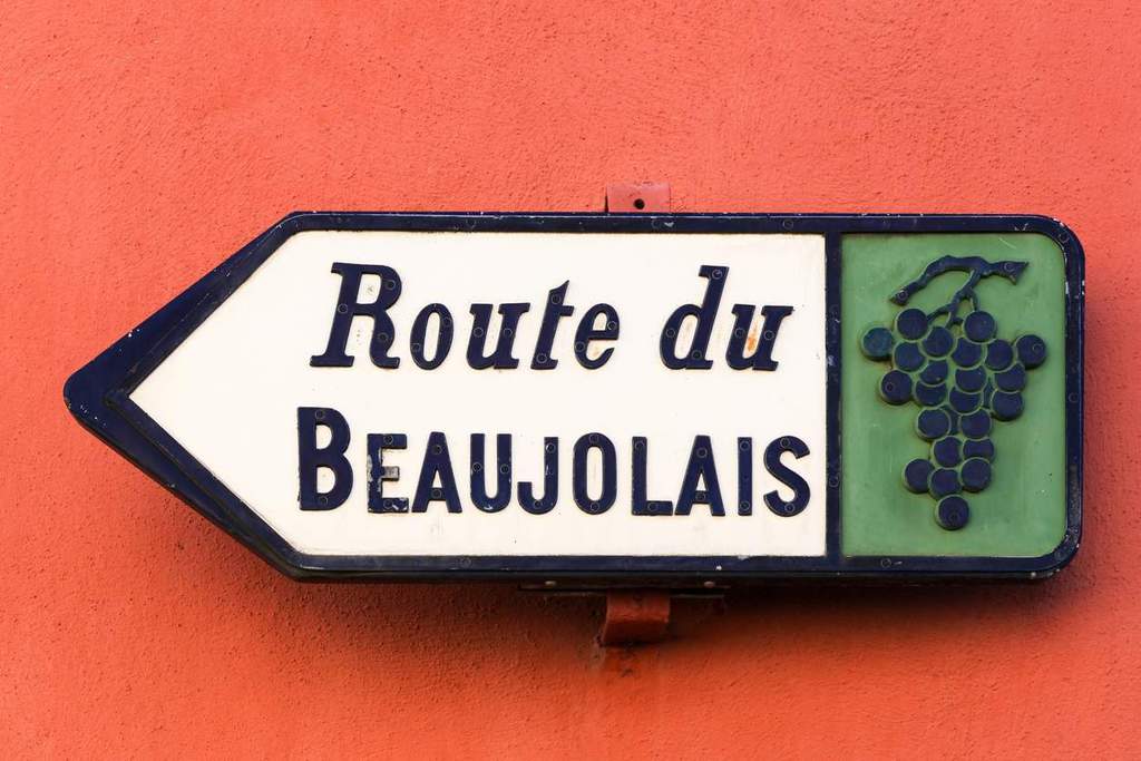 Beaujolais Wine Region Overview | Winetraveler.com