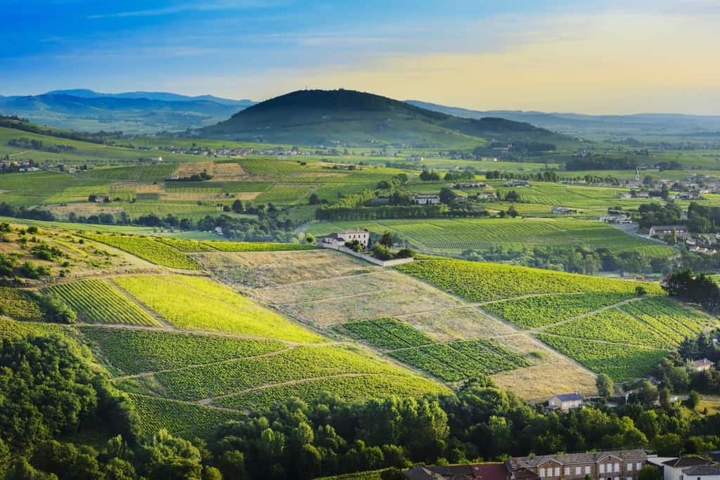 Article explaining the Beaujolais Wine Region, 10 Beaujolais Crus, Beaujolais Villages AOC and Beaujolais AOC
