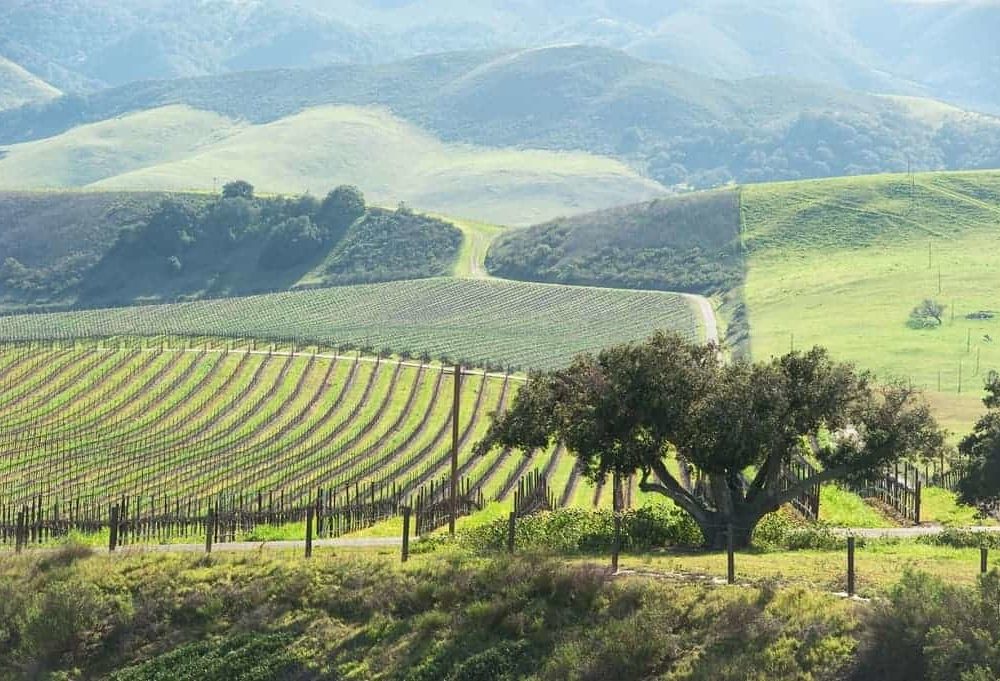 Stops along the way from Los Angeles to Napa Valley - Scenic Route Central Coast | Winetraveler.com