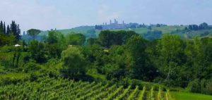 Tenuta Torciano